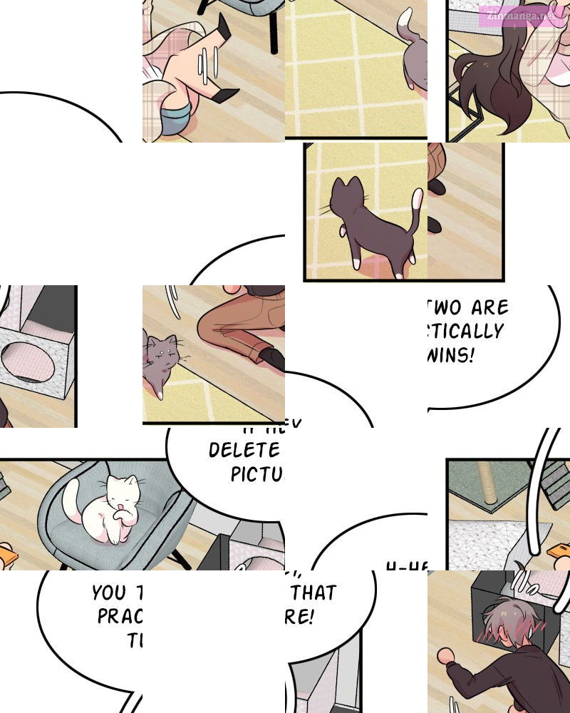 Death Of A Pop Star Mangakakalot X Chapter 20 Page 50