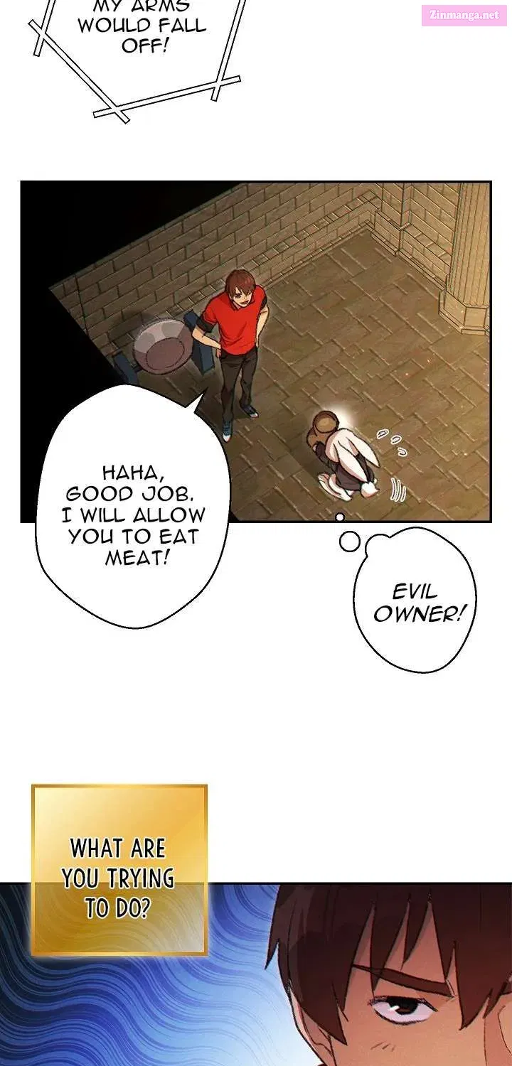 Dungeon Reset Mangakakalot X Chapter 37.1 Page 13