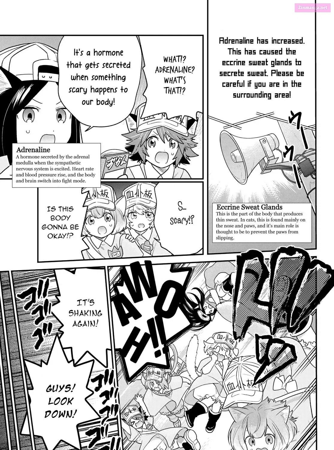 Hataraku Saibou Neko Mangakakalot X Chapter 5 Page 9