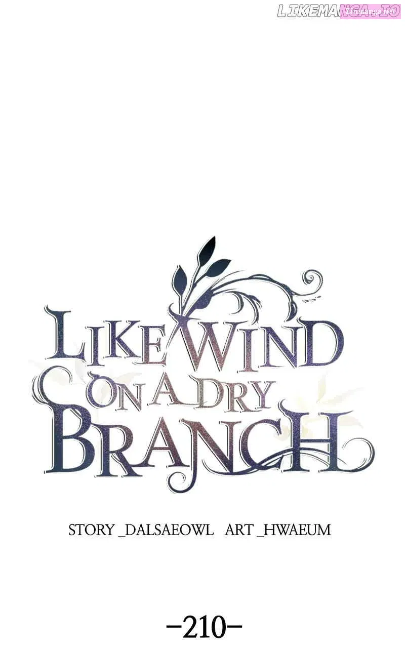 Like A Wind On A Dry Branch - undefined - Page 1