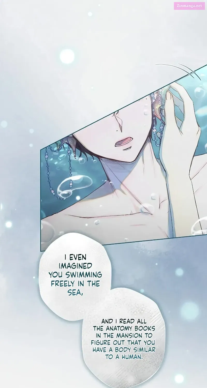 The mermaid trapped in my lake Mangakakalot X Chapter 2 Page 45