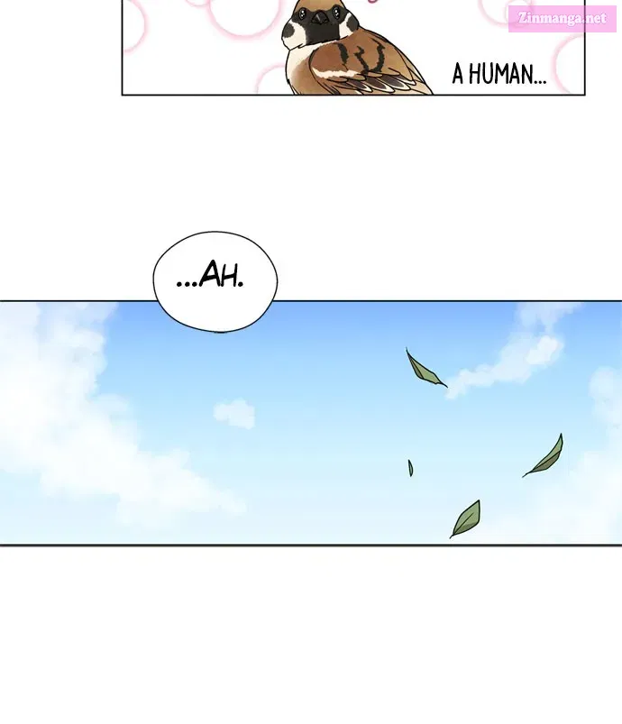 The Wolf & Red Riding Hood Mangakakalot X Chapter 2 Page 61