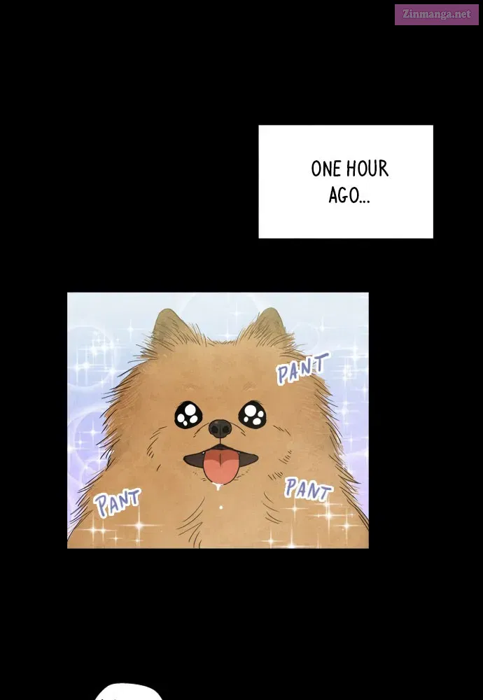 The Wolf & Red Riding Hood Mangakakalot X Chapter 4 Page 39