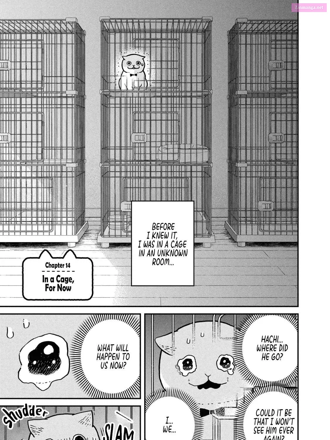 Tsureneko:  Maruru to Hachi Mangakakalot X Chapter 14 Page 2