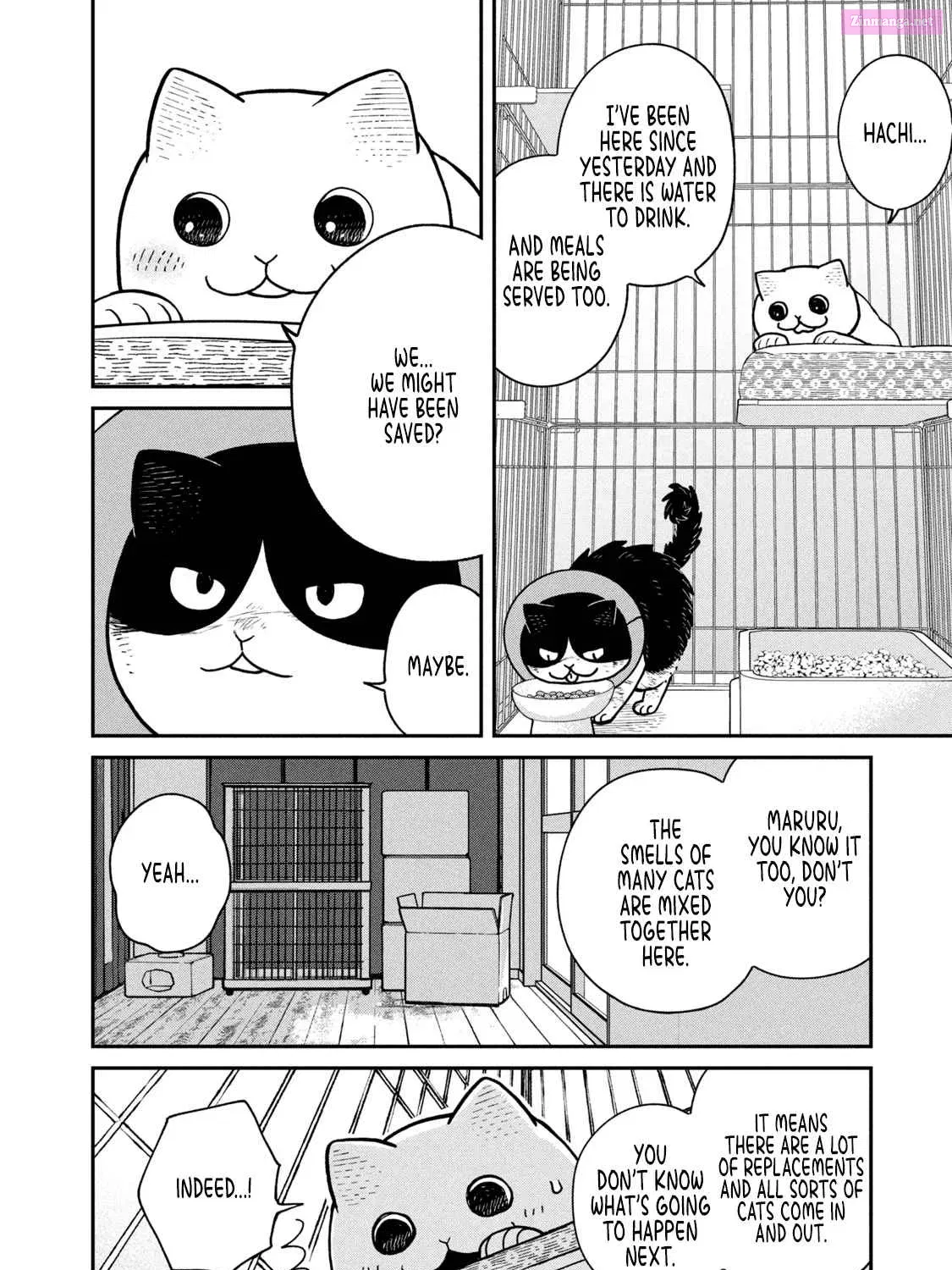 Tsureneko:  Maruru to Hachi Mangakakalot X Chapter 14 Page 16