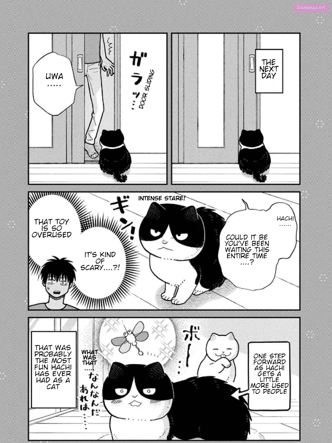 Tsureneko:  Maruru to Hachi Mangakakalot X Chapter 31 Page 33