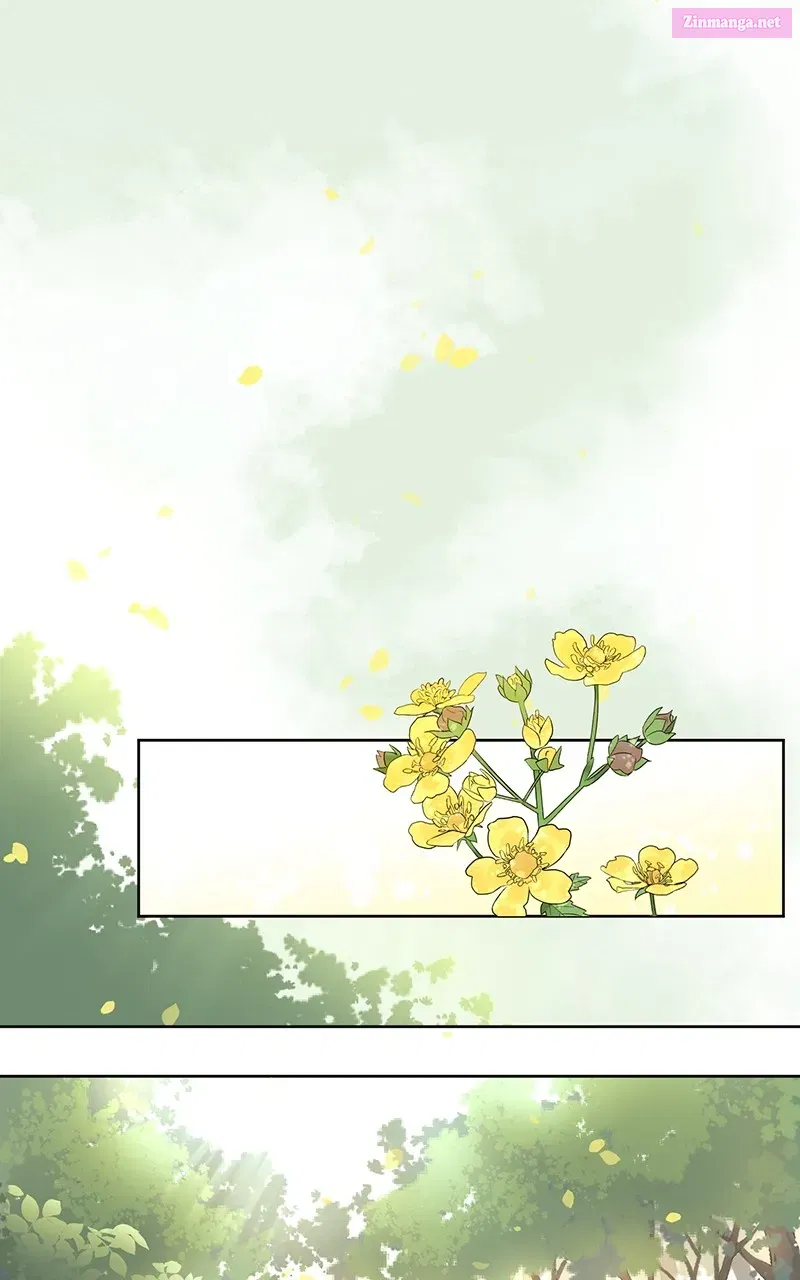 You Will Love Me Again Mangakakalot X Chapter 2 Page 1