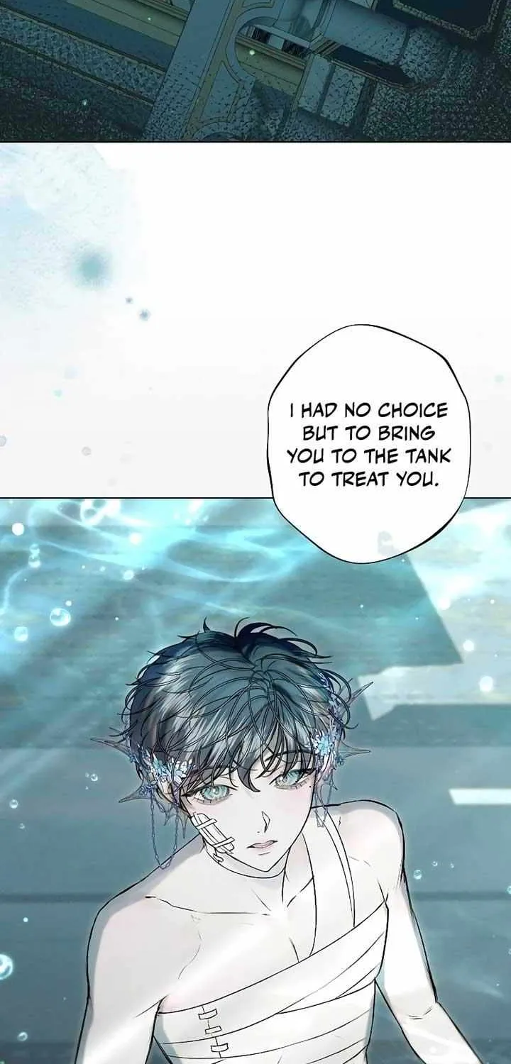 The mermaid trapped in my lake Mangakakalot X Chapter 7 Page 4