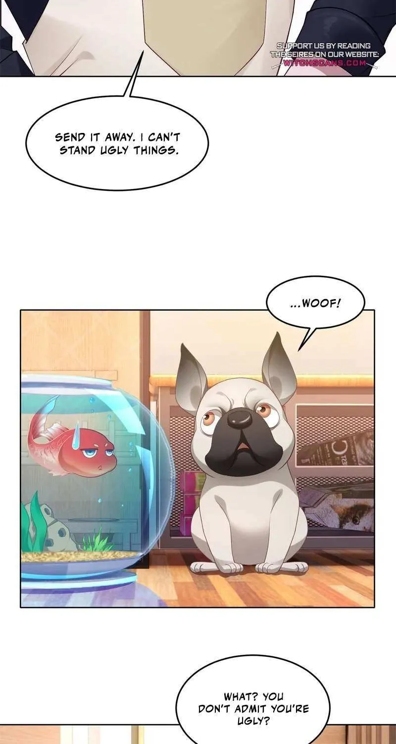 Wonder Pet Shop Mangakakalot X Chapter 1 Page 12