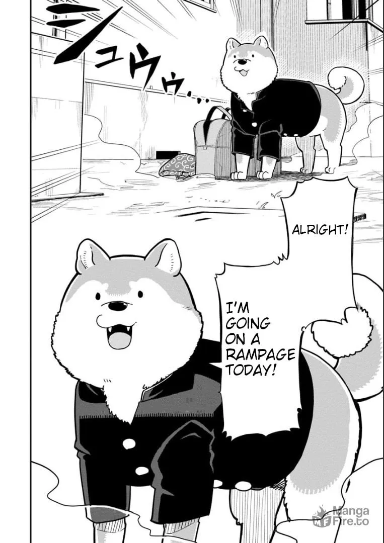 A Wolf Cannot Win to Hayakawa Mangakakalot X Chapter 1 Page 5
