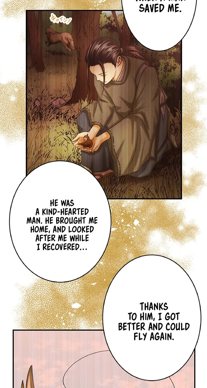 Donten no Tsubame Mangakakalot X Chapter 4 Page 43
