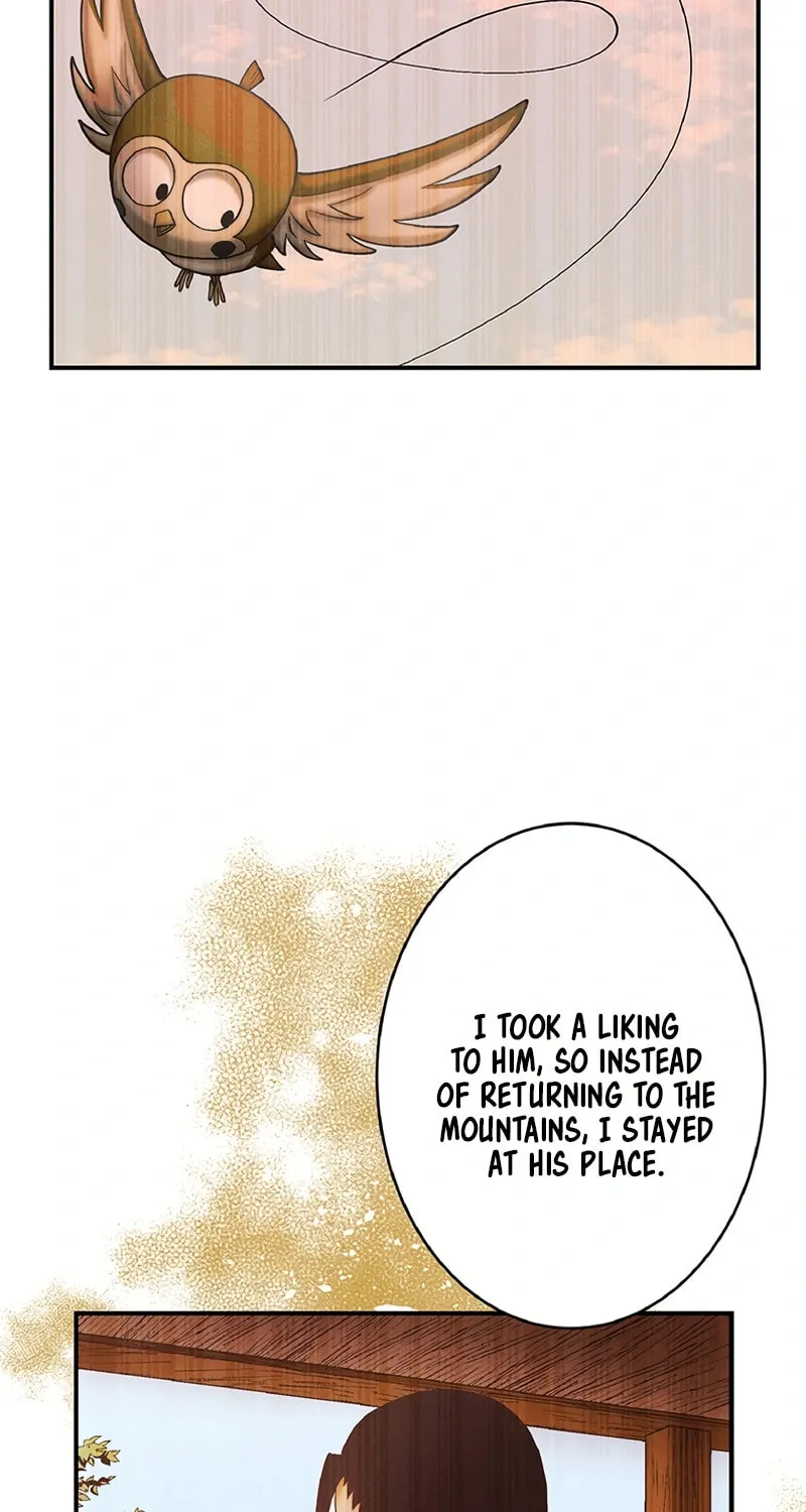 Donten no Tsubame Mangakakalot X Chapter 4 Page 44