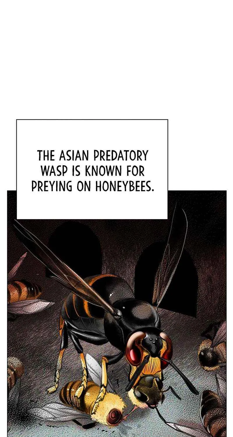 Manhwa Jungle Juice Mangakakalot X Chapter 95 Page 33