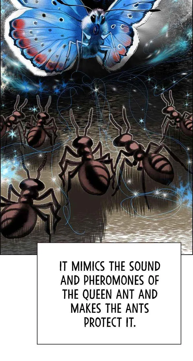 Manhwa Jungle Juice Mangakakalot X Chapter 95 Page 62