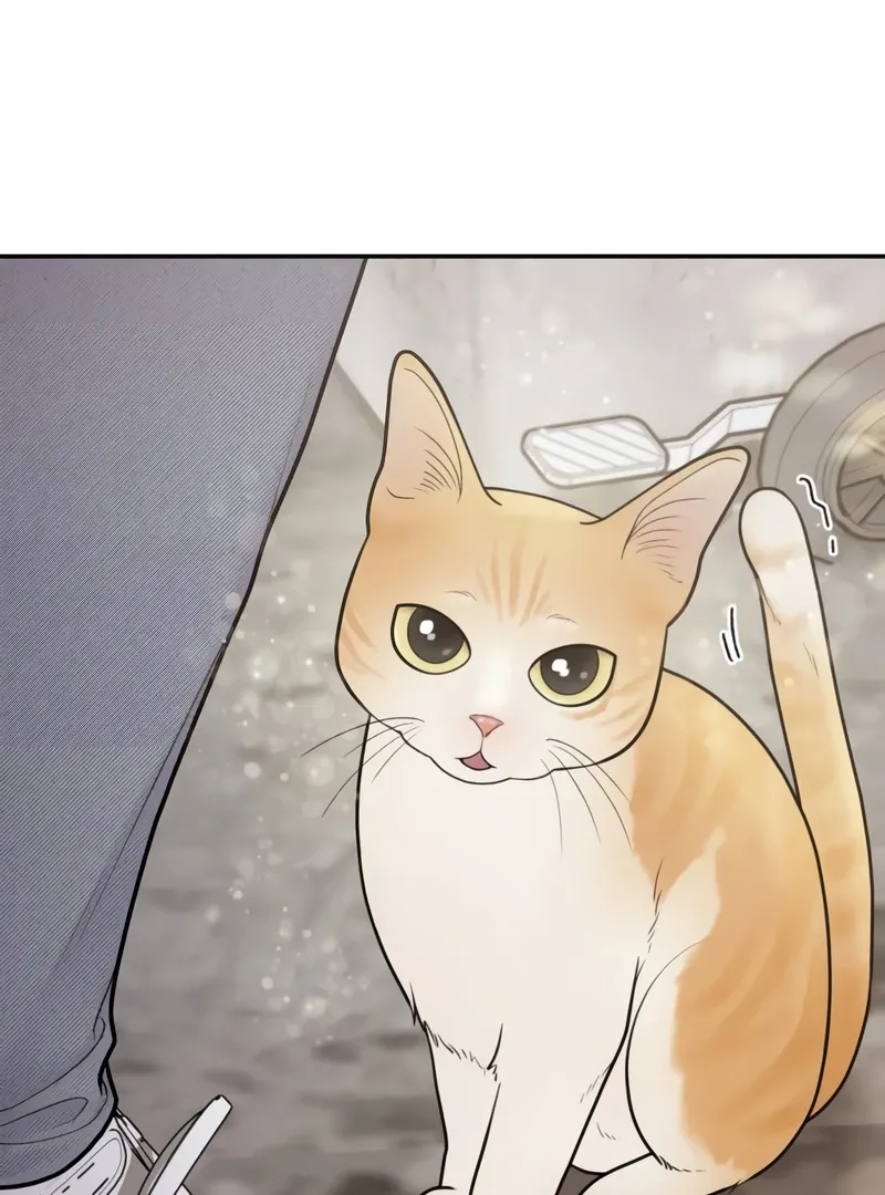 Pregnancy, Plunder Mangakakalot X Chapter 1 Page 80