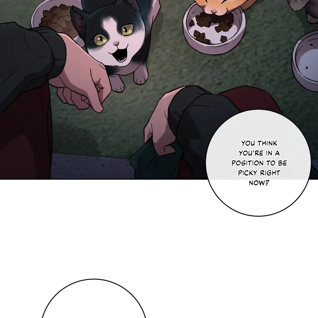 Release Your Persona Mangakakalot X Chapter 1 Page 4