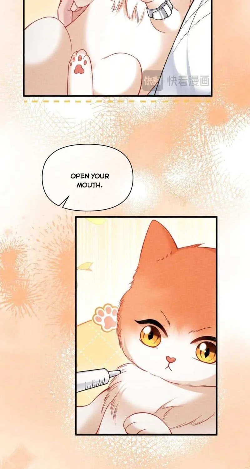 Subordinate Doting Mangakakalot X Chapter 40 Page 21