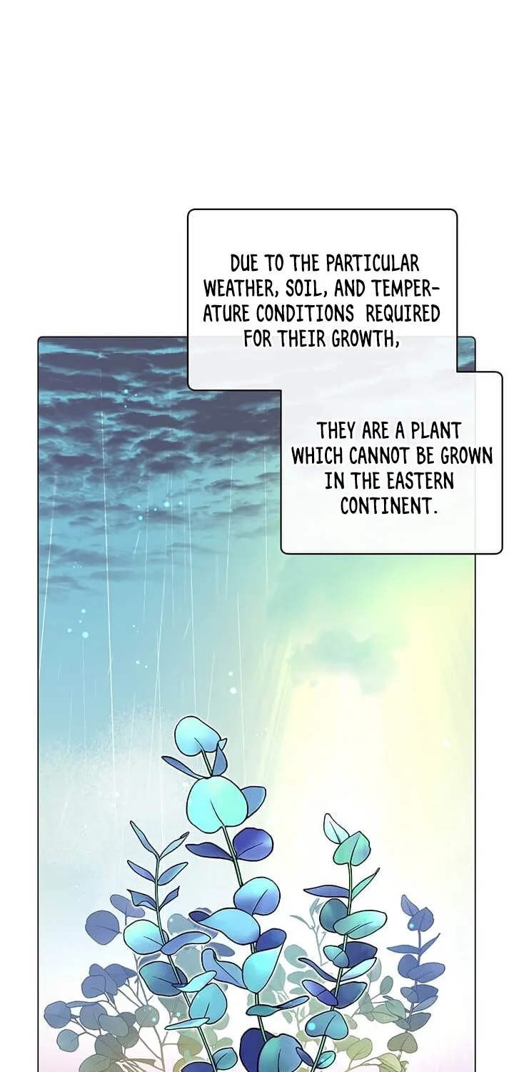 The Max Level Hero Strikes Back Mangakakalot X Chapter 37 Page 3