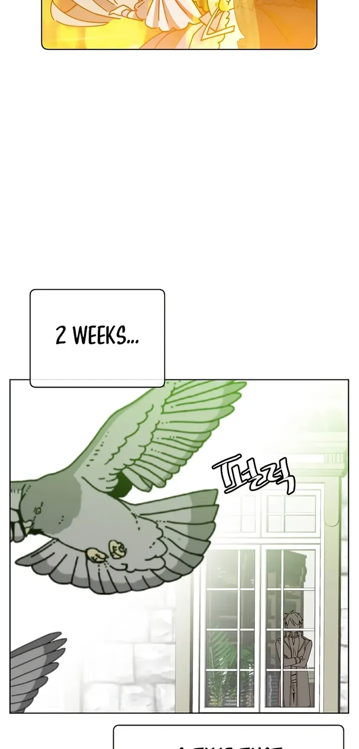 The Max Level Hero Strikes Back Mangakakalot X Chapter 82 Page 64