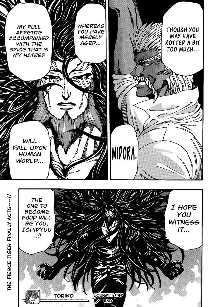 Toriko Mangakakalot X Chapter 247 Page 17