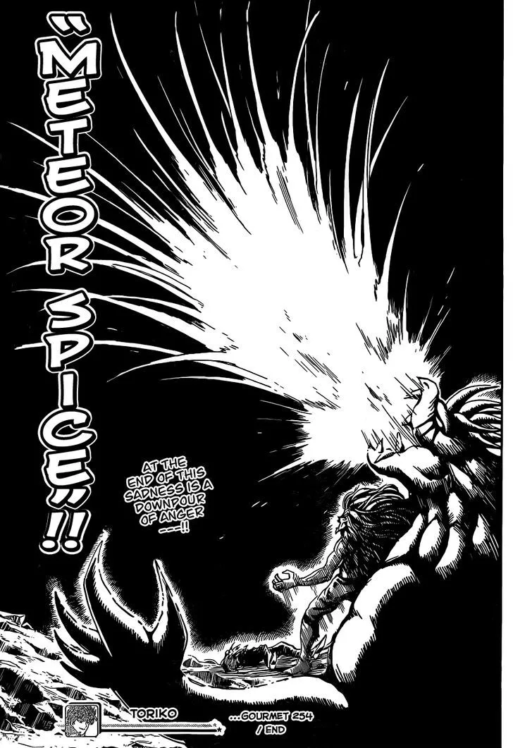 Toriko Mangakakalot X Chapter 254 Page 19