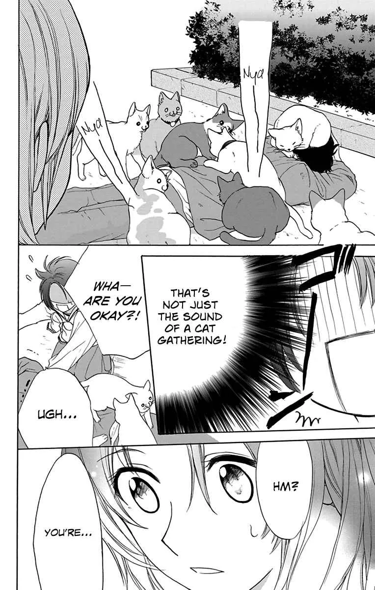 Anitomo - My Brother's Friend - undefined - Page 14