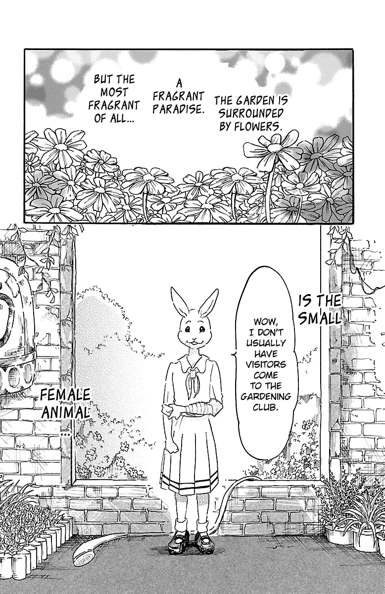 Beastars Mangakakalot X Chapter 8 Page 4