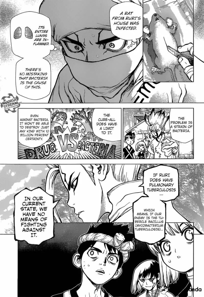 Dr. Stone Mangakakalot X Chapter 41 Page 5