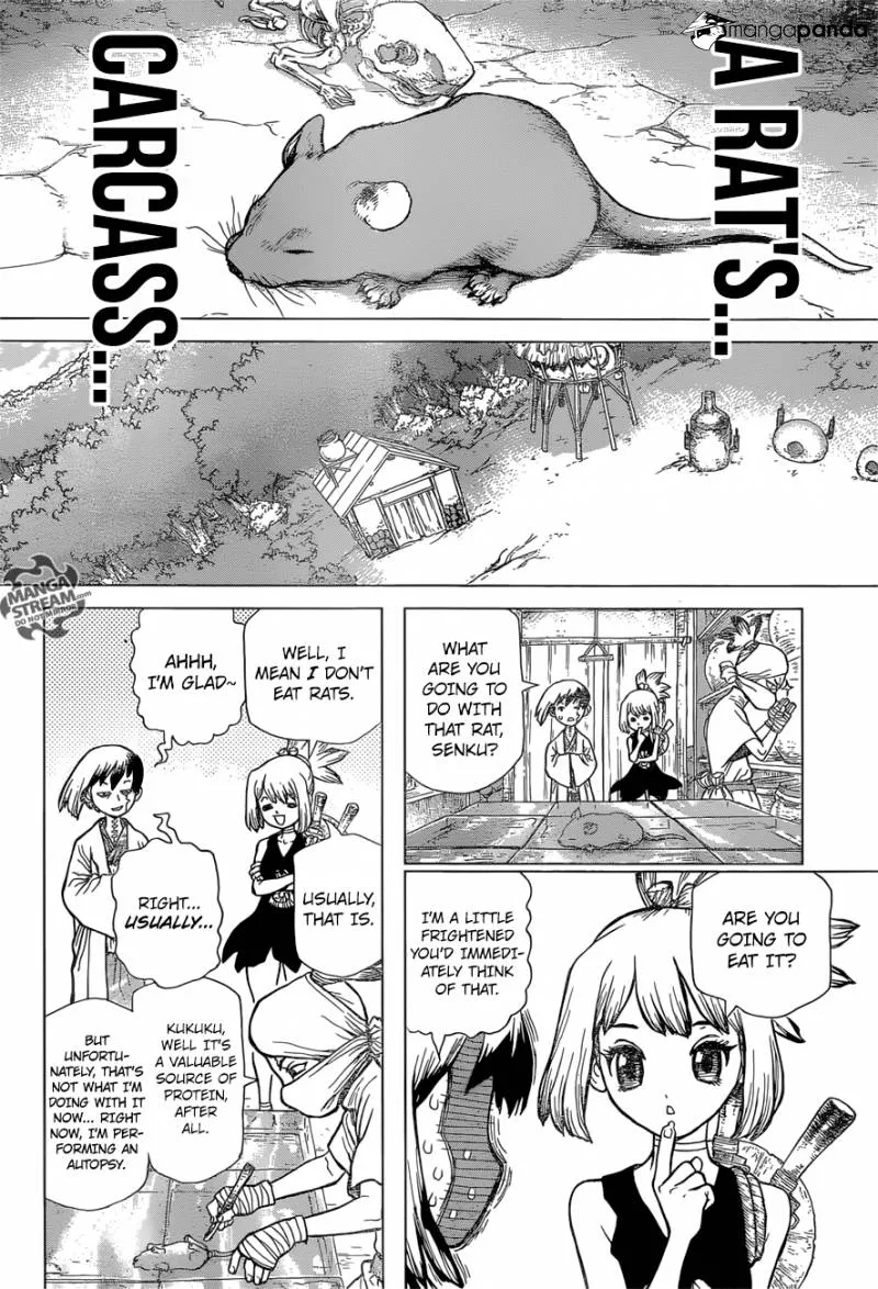 Dr. Stone Mangakakalot X Chapter 41 Page 4