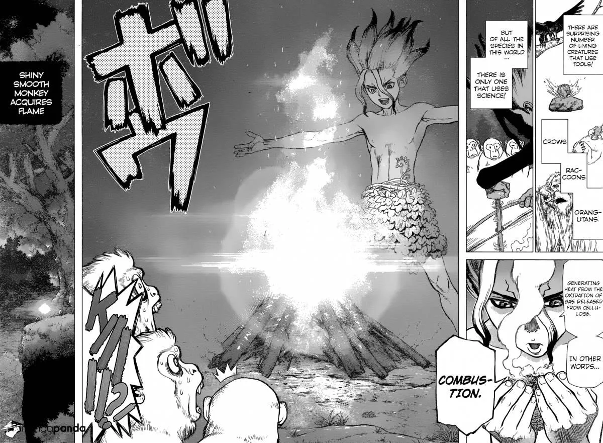Dr. Stone Mangakakalot X Chapter 13 Page 15