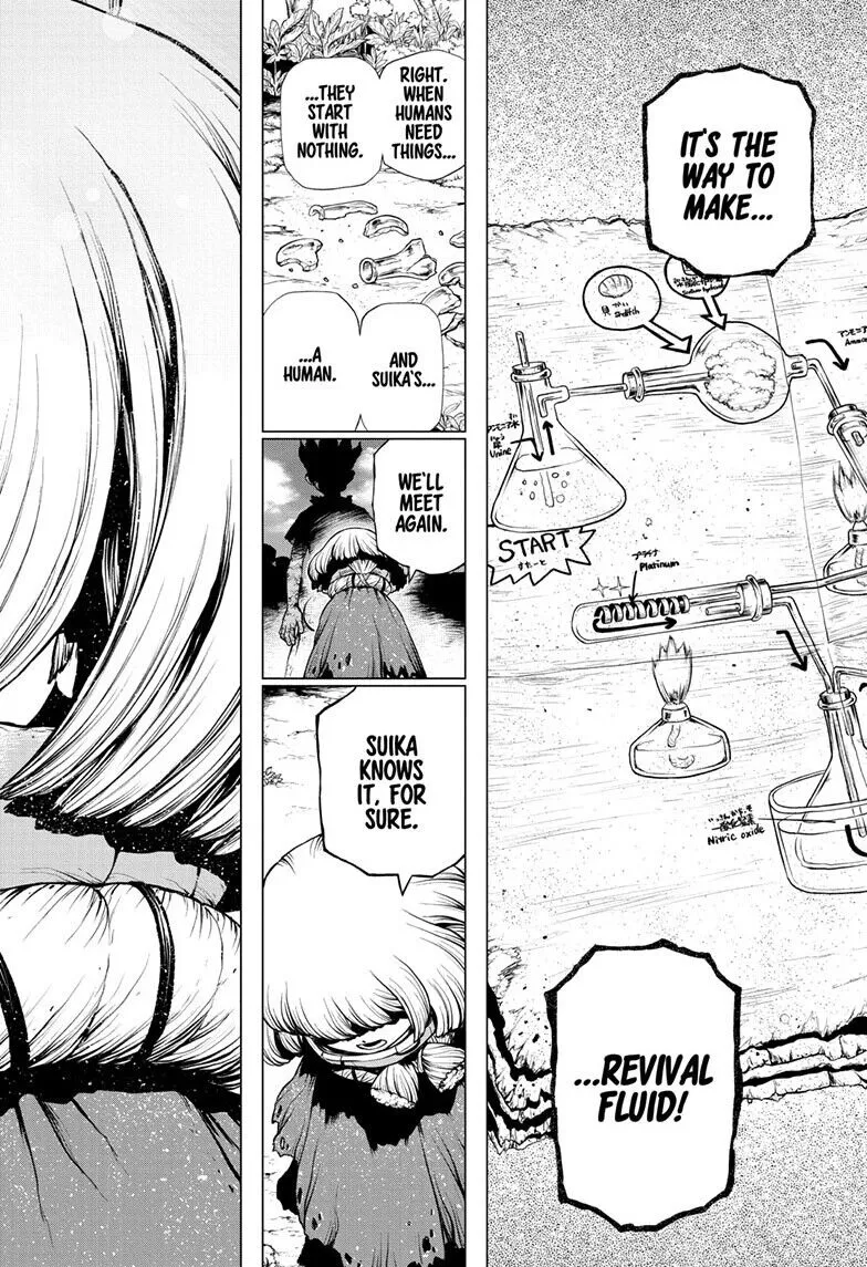 Dr. Stone Mangakakalot X Chapter 195 Page 19
