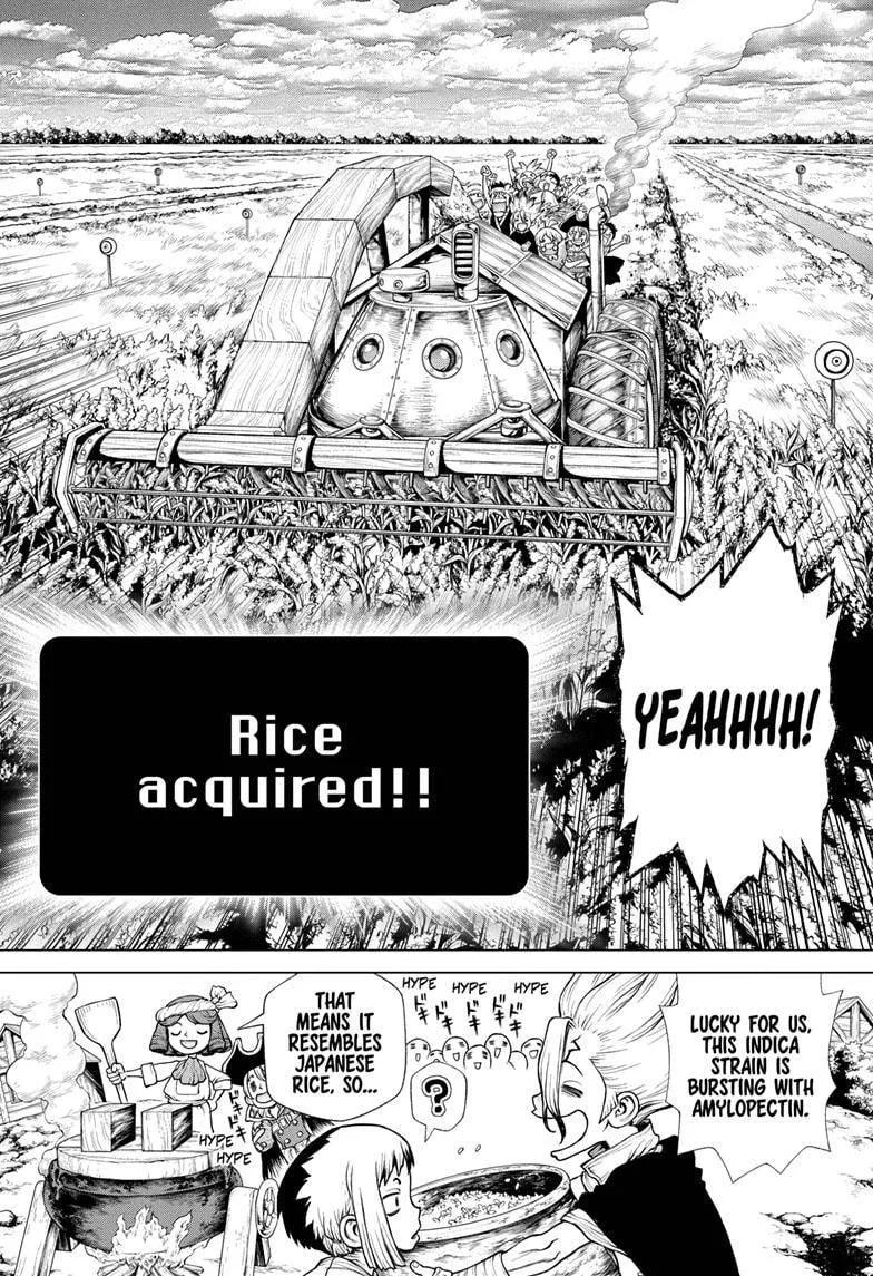 Dr. Stone Mangakakalot X Chapter 211 Page 12