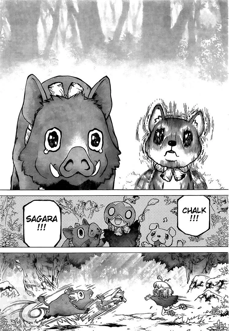Dr. Stone Mangakakalot X Chapter 212 Page 11