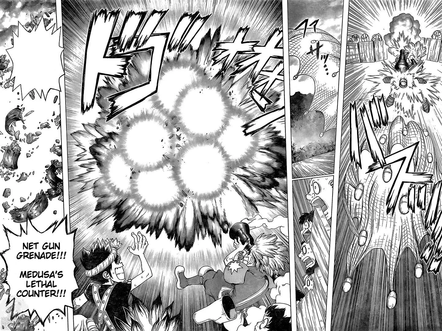 Dr. Stone Mangakakalot X Chapter 220 Page 13
