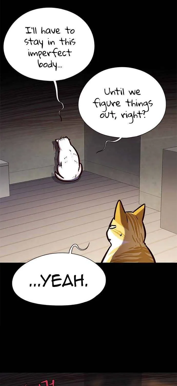 Eleceed Mangakakalot X Chapter 142 Page 12