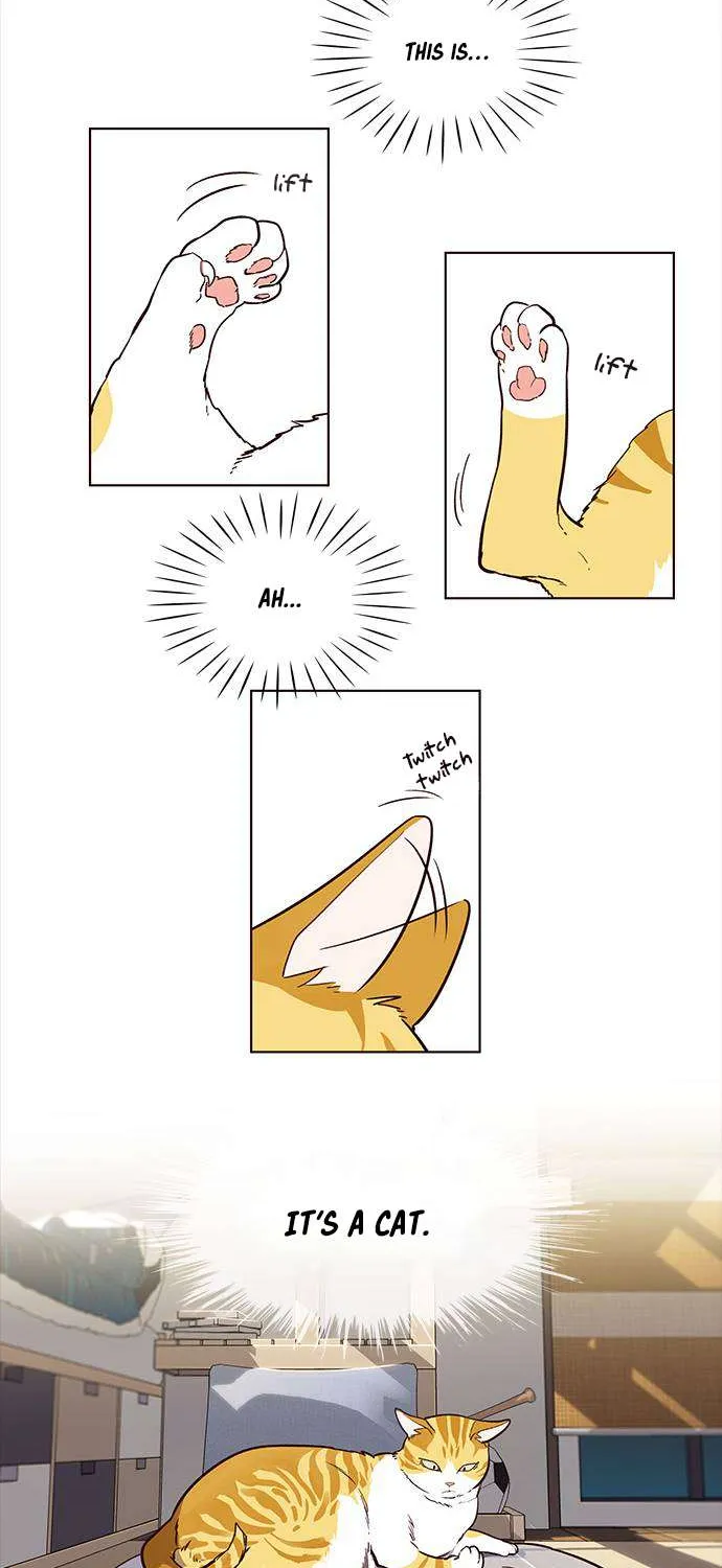 Eleceed Mangakakalot X Chapter 1.1 Page 36
