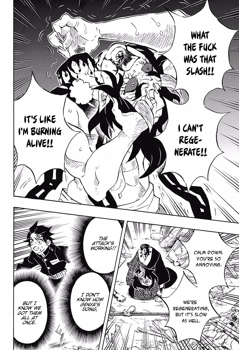 Kimetsu No Yaiba - undefined - Page 13