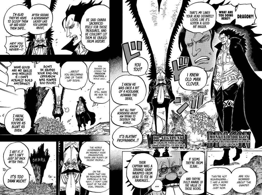 One Piece - undefined - Page 11