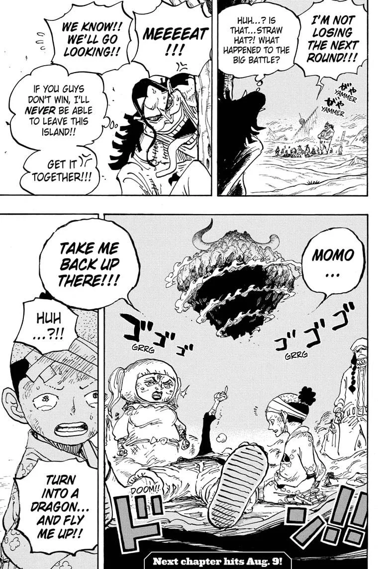 One Piece - undefined - Page 17