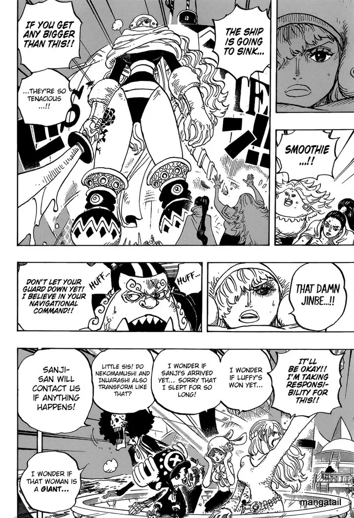 One Piece - undefined - Page 13