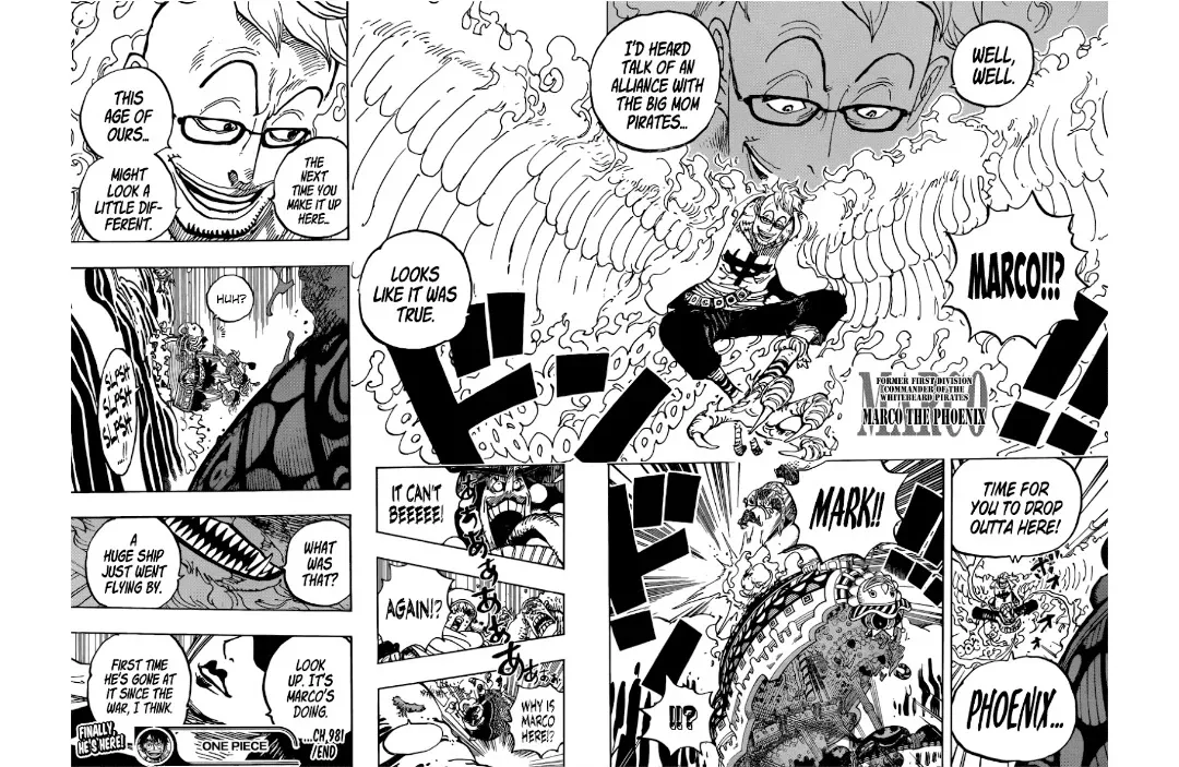 One Piece - undefined - Page 16