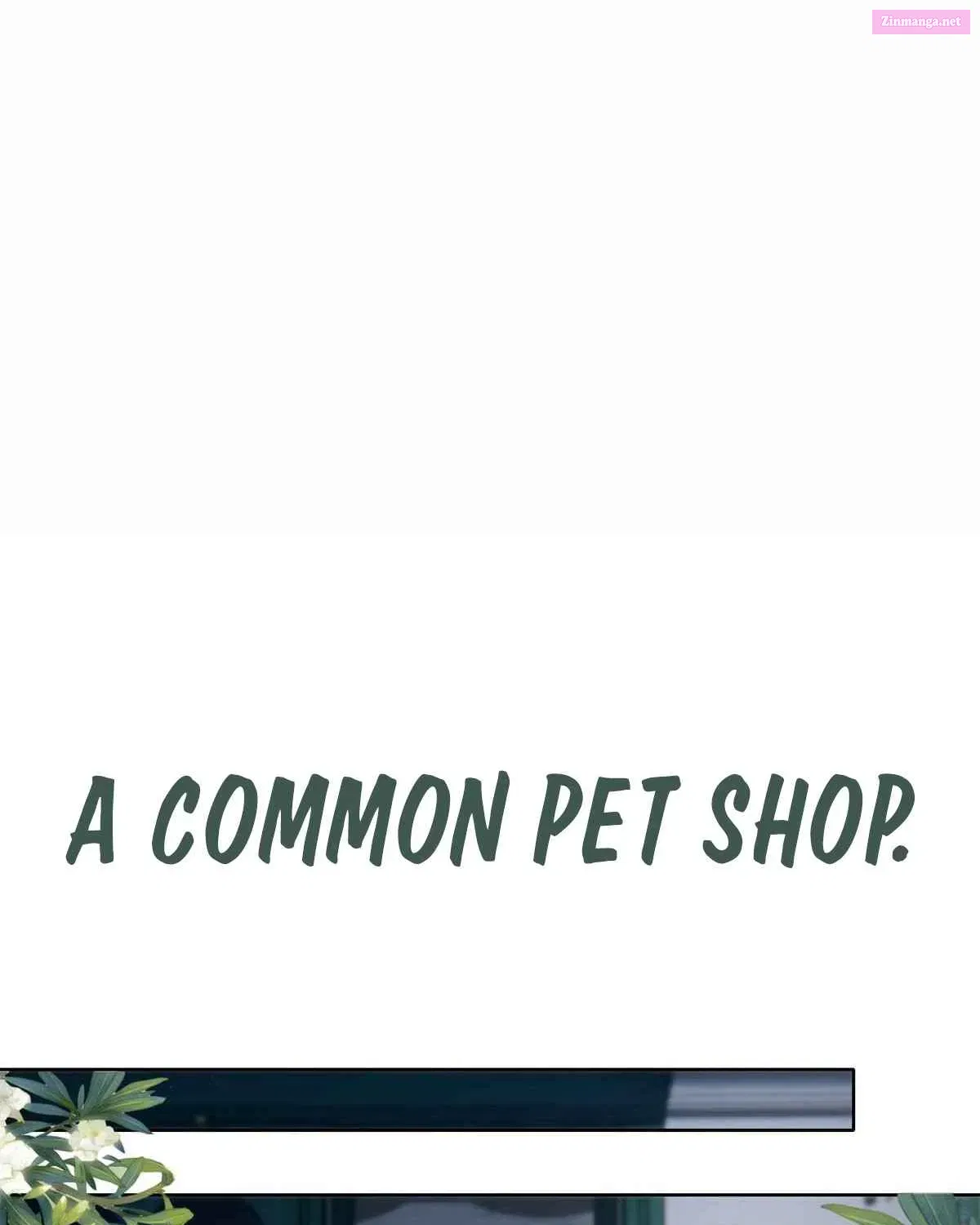 Wonder Pet Shop Mangakakalot X Chapter 0 Page 3